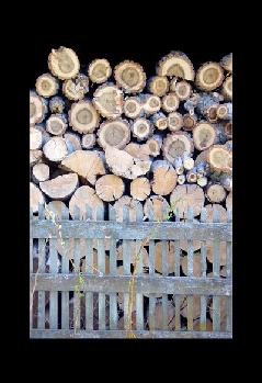 wood pile